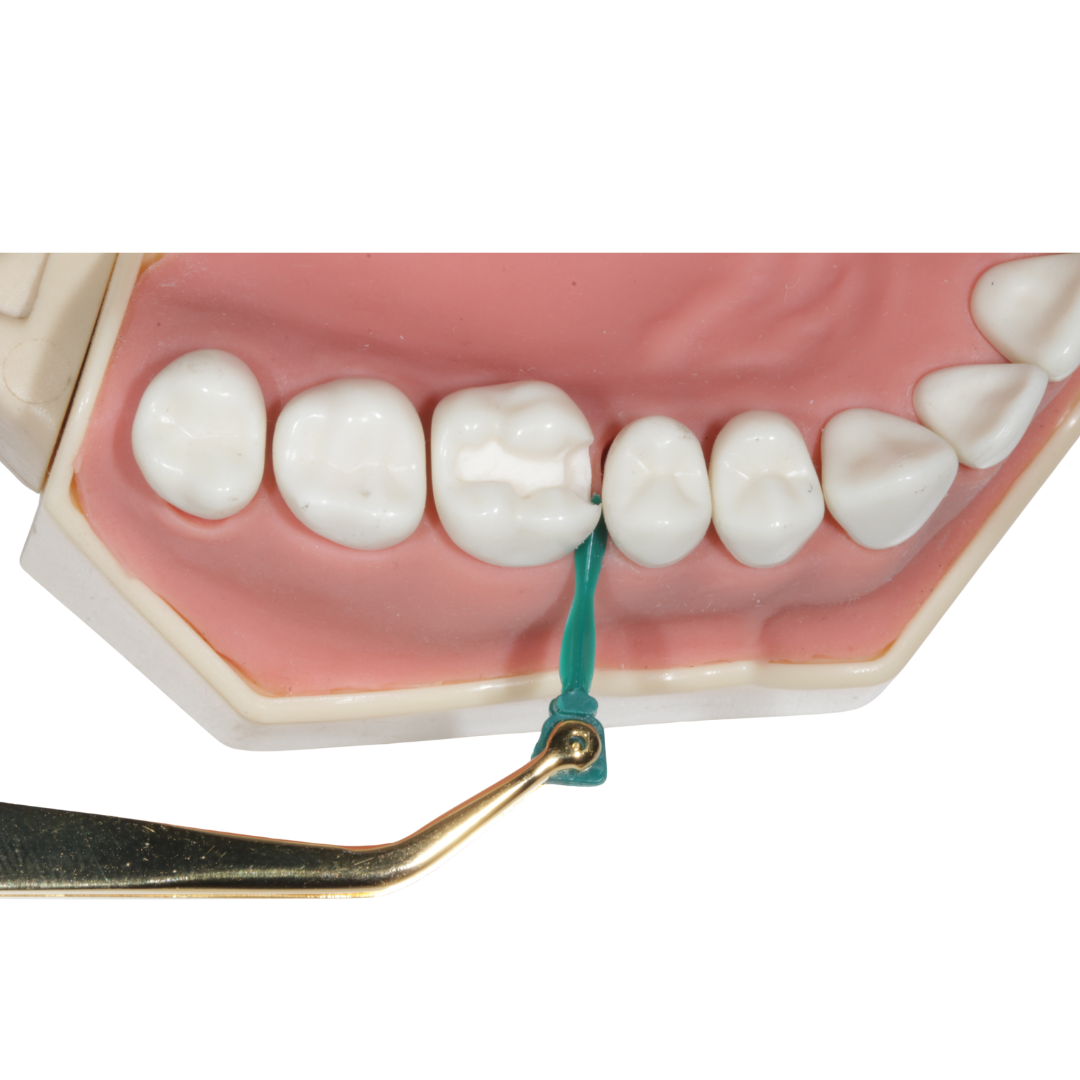 Pratiwedge S801