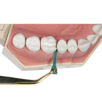Pratiwedge S801